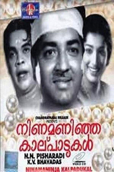 Póster de Ninamaninja Kaalpaadukal