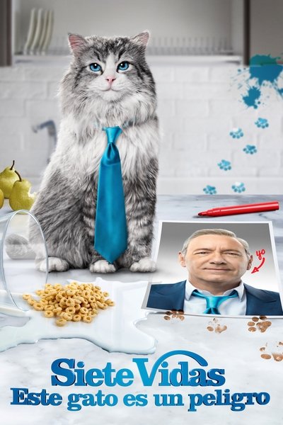 Póster de Nine Lives