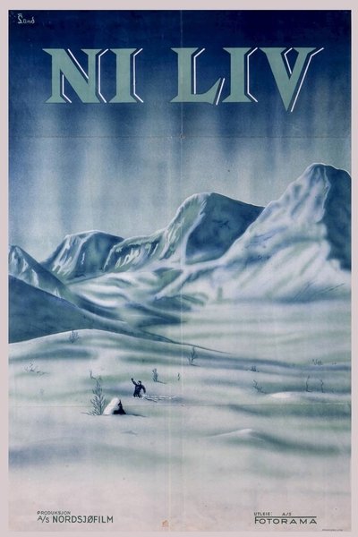 Póster de Nine Lives