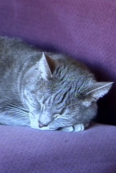 Póster de Nine Lives (the Eternal Moment of Now)