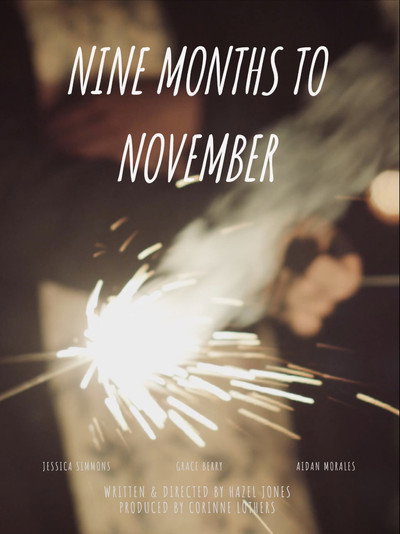 Póster de Nine Months to November