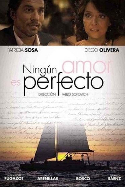 Póster de Ningún amor es perfecto