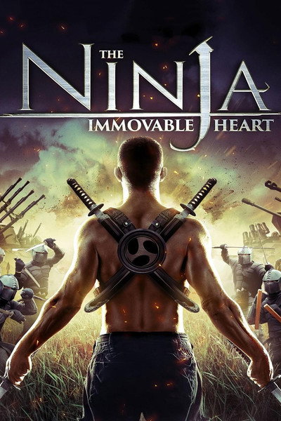 Póster de Ninja