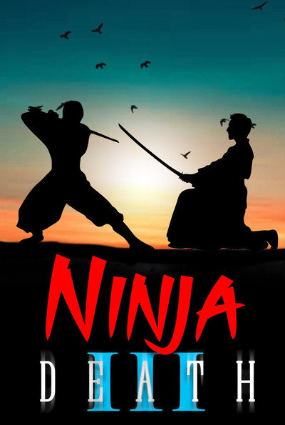 Póster de Ninja death III