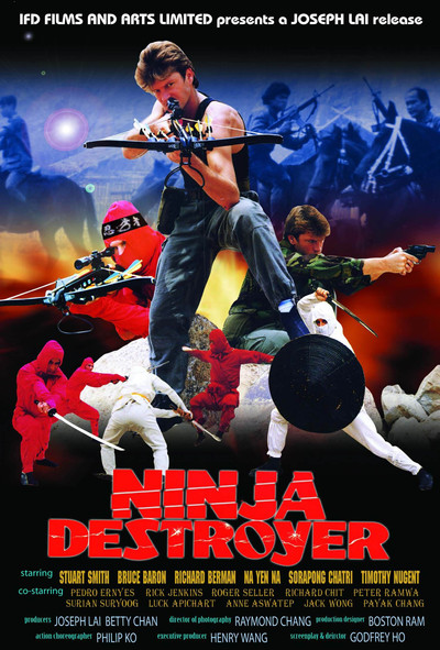 Póster de Ninja Destroyer