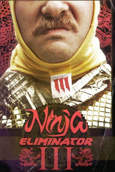 Póster de Ninja Eliminator 3: Guardian of the Dragon Medallion