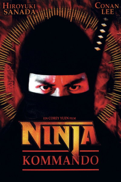 Póster de Ninja in the Dragon's Den