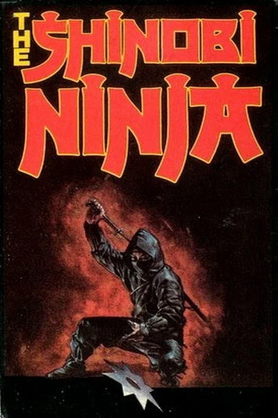 Póster de Ninja in USA