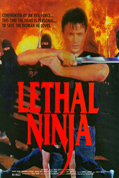 Póster de Ninja mortal