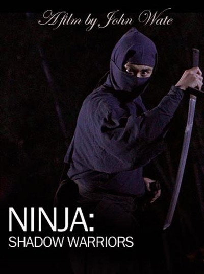 Póster de Ninja Shadow Warriors