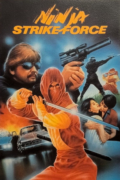 Póster de Ninja Strike Force