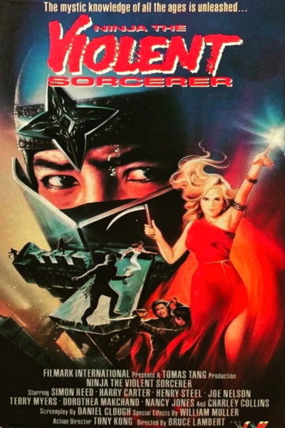 Póster de Ninja: The Violent Sorceror