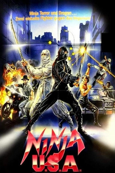 Póster de Ninja USA