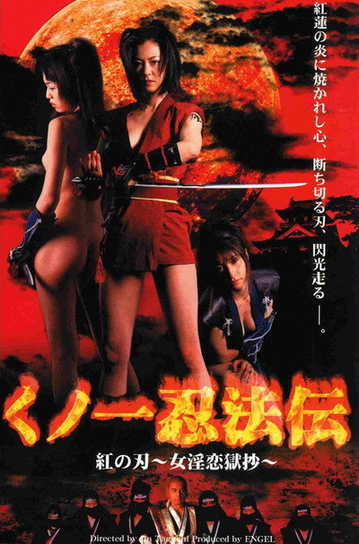 Póster de Ninja Vixens: Crimson Blades