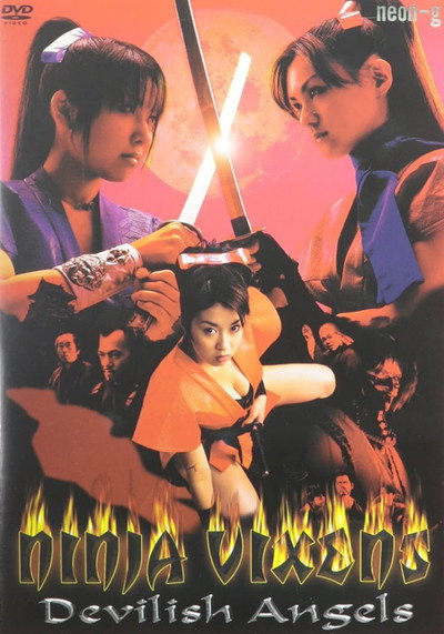 Póster de Ninja Vixens: Devilish Angels