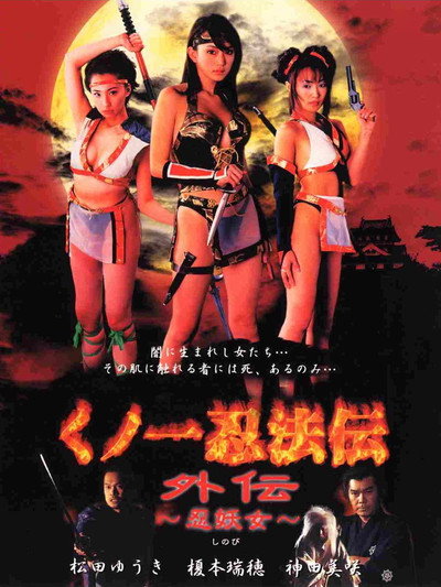 Póster de Ninja Vixens: Forbidden Paradise