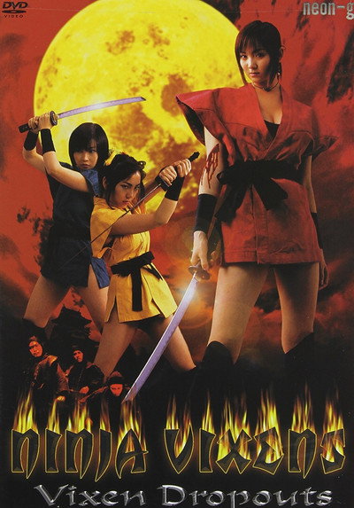 Póster de Ninja Vixens: Vixen Dropouts