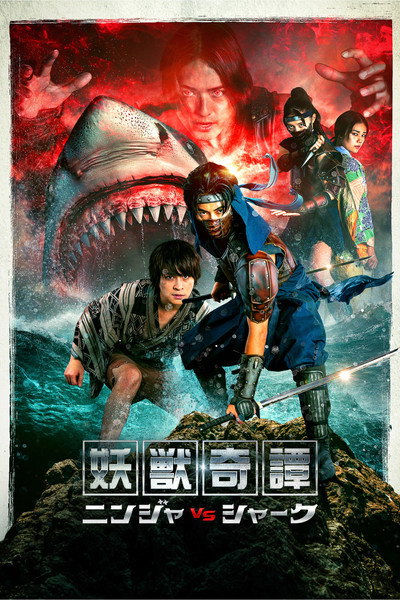 Póster de Ninja vs Shark