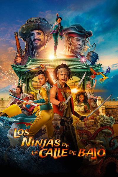 Póster de Ninjas Down the Street