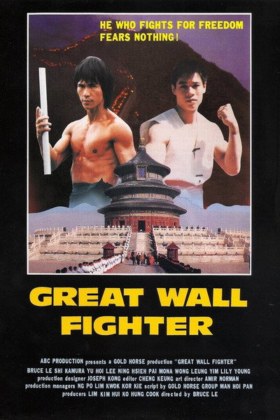 Póster de Ninjas en la Gran Muralla