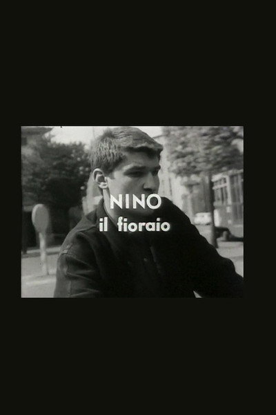 Póster de Nino il fioraio
