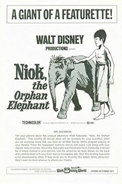 Póster de Niok
