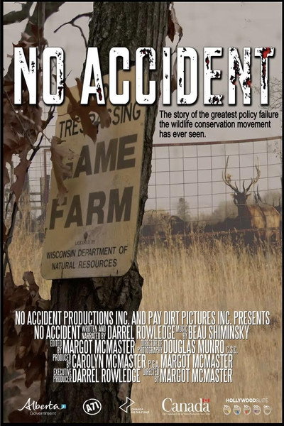 Póster de No Accident