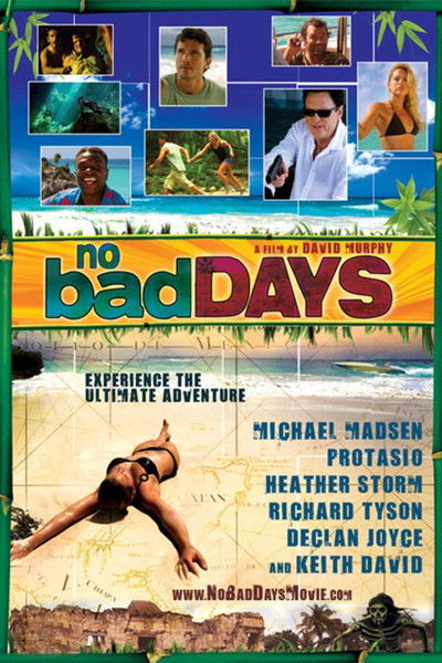 Póster de No Bad Days