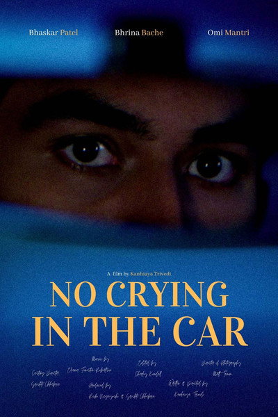 Póster de No Crying in the Car