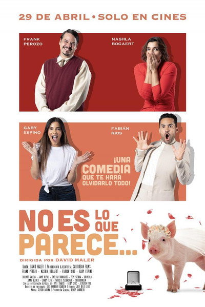 Póster de No es lo que parece