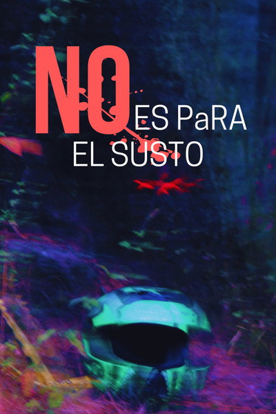 Póster de No es para el susto