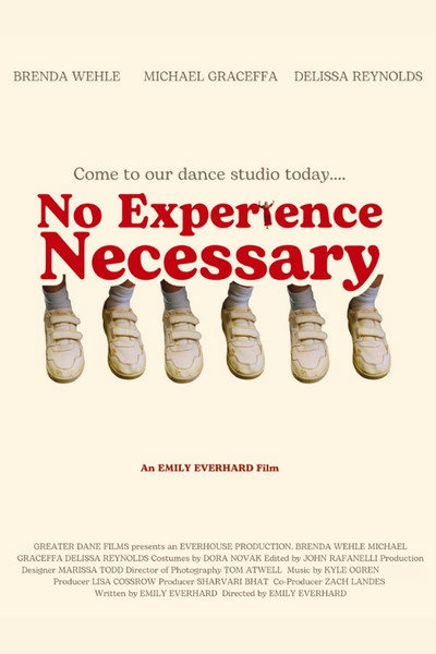Póster de No Experience Necessary