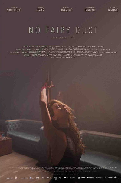 Póster de No Fairy Dust