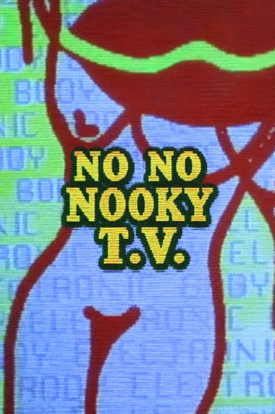 Póster de No No Nooky T.V.
