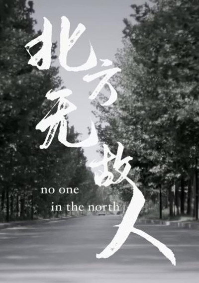 Póster de No One in the North