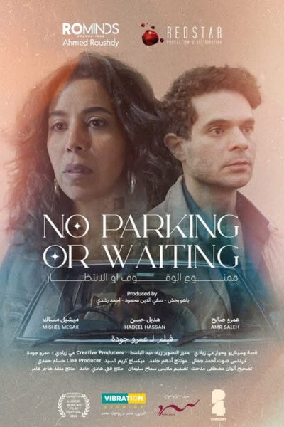 Póster de No Parking or Waiting
