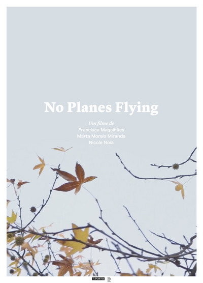 Póster de No Planes Flying