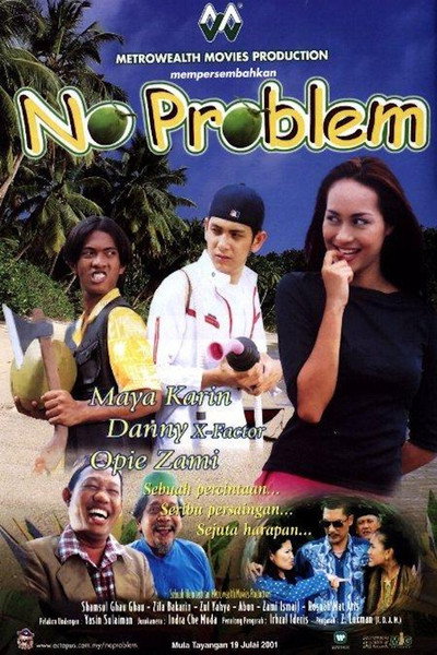 Póster de No Problem
