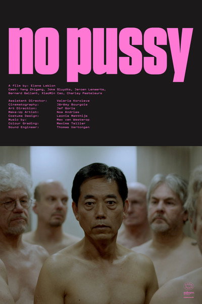 Póster de No Pussy