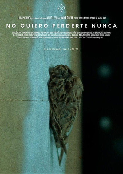 Póster de No quiero perderte nunca