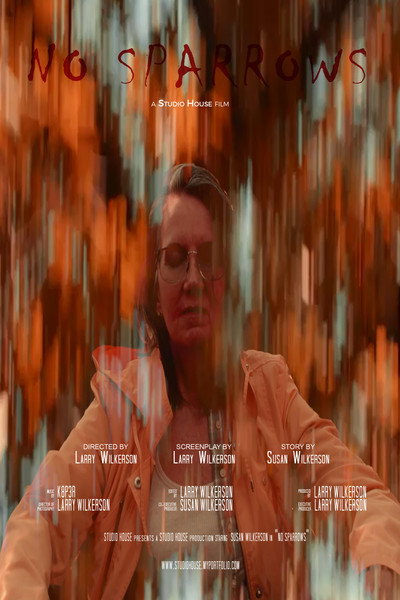 Póster de No Sparrows