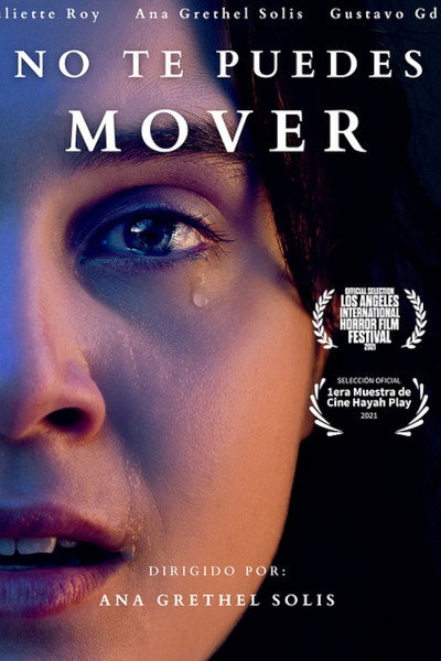 Póster de No te Puedes Mover