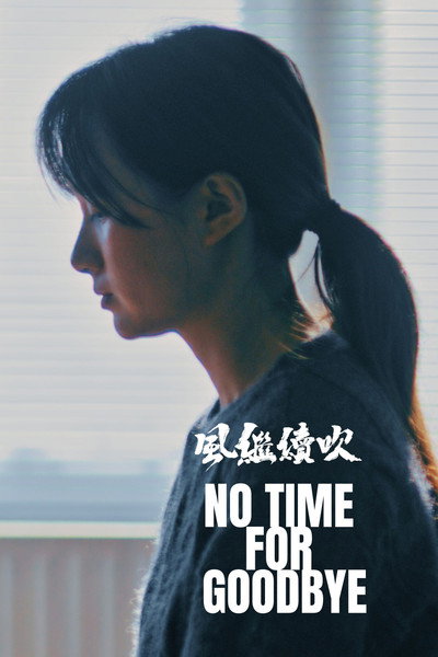 Póster de No Time for Goodbye