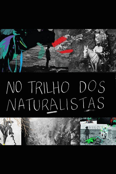 Póster de No Trilho dos Naturalistas: Angola