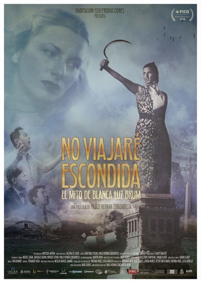 Póster de No Viajaré Escondida
