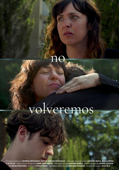Póster de No Volveremos
