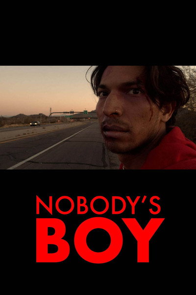 Póster de Nobody's Boy