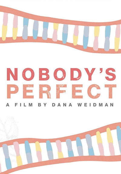 Póster de Nobody's Perfect