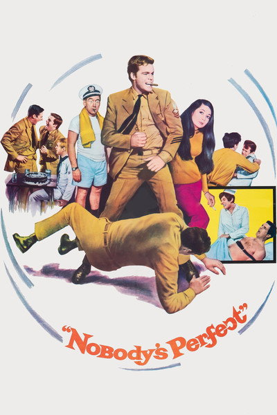 Póster de Nobody's Perfect
