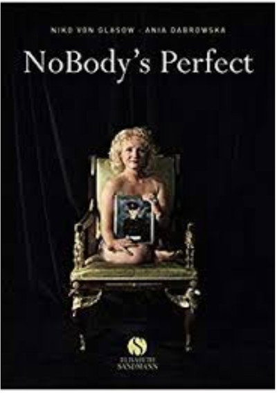 Póster de NoBody's Perfect